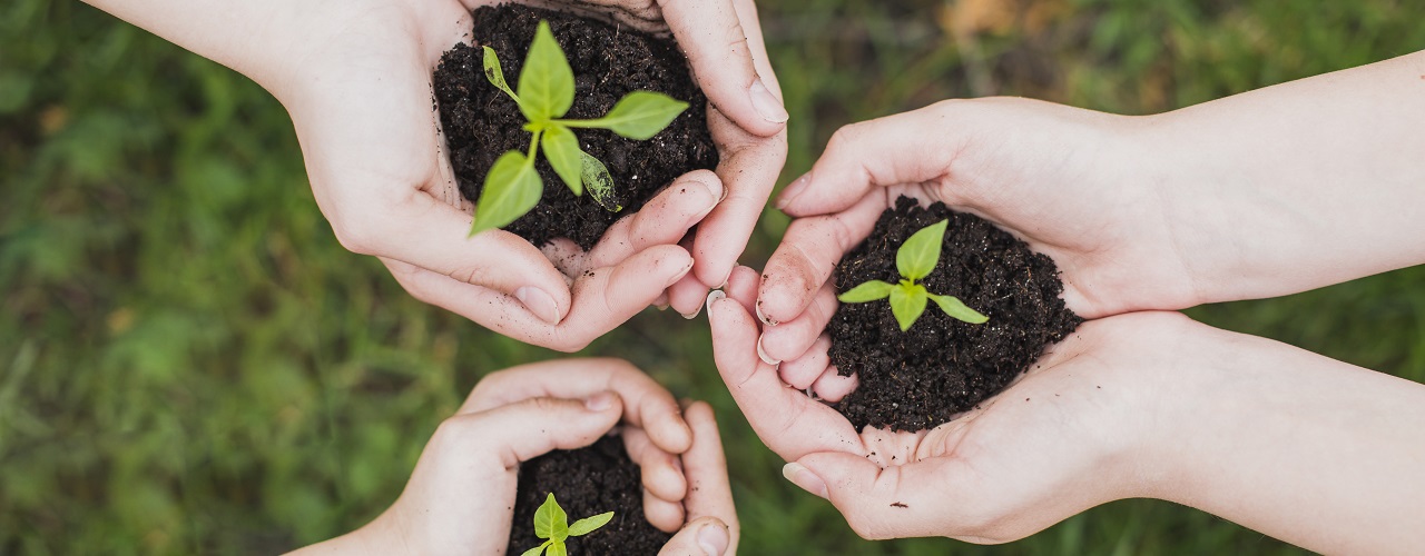 Plan de contratación pública ecológica