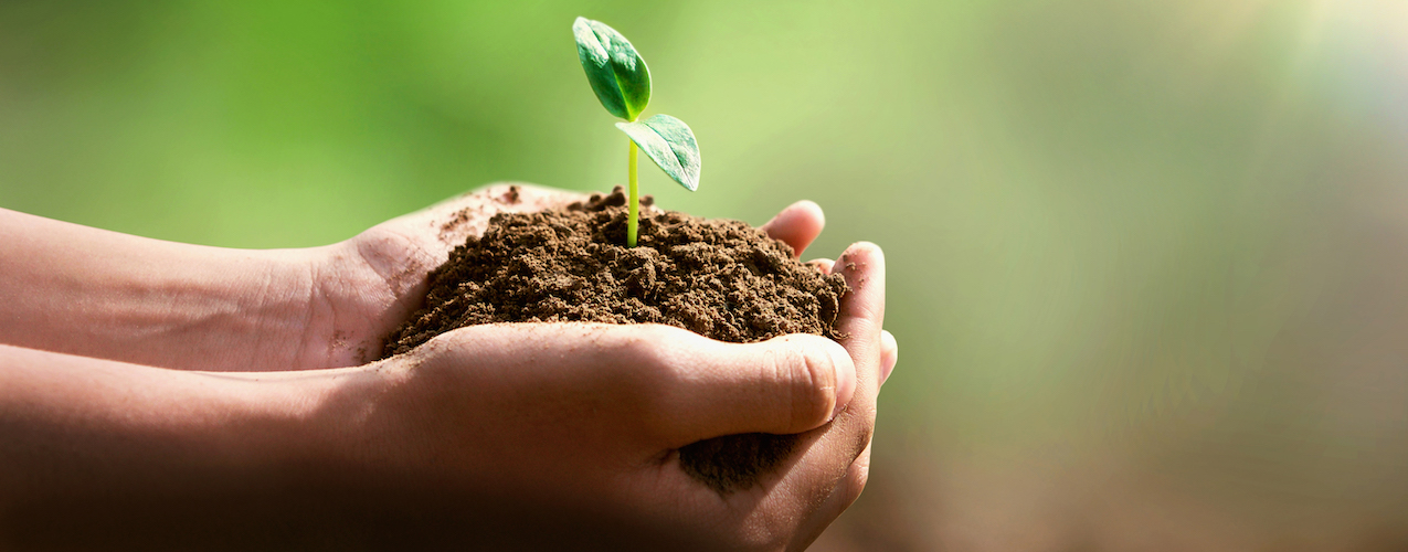 Nuevo Plan de Contratación Pública Ecológica