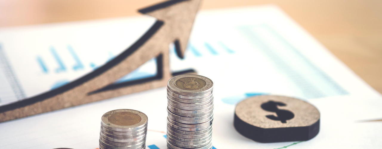 El precio en los contratos del sector público y su posible revisión